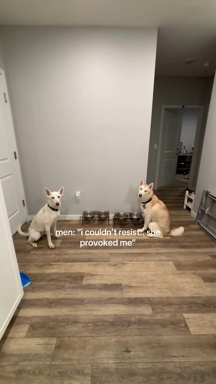 @lisa