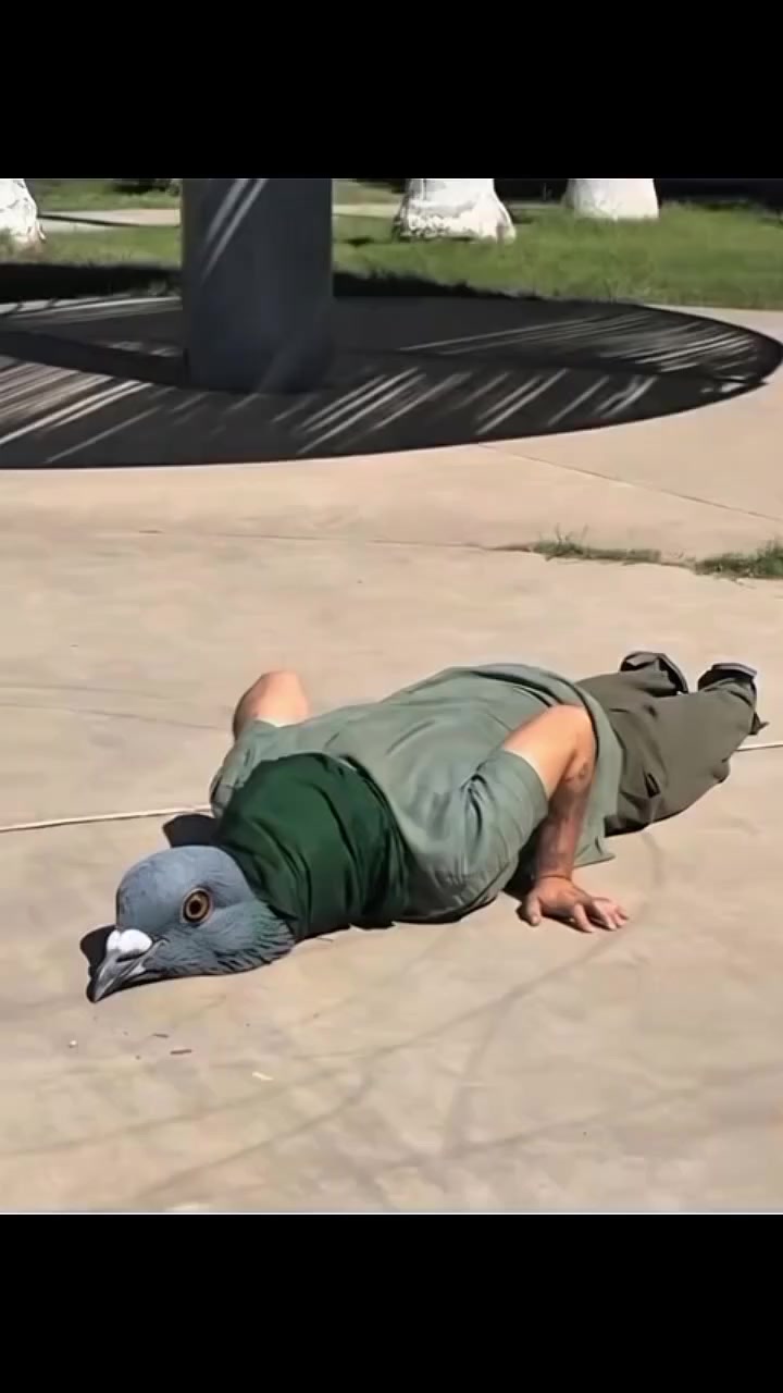 @𝗦𝗢𝗟𝗢 𝗙𝗔𝗖𝗧𝗢𝗦