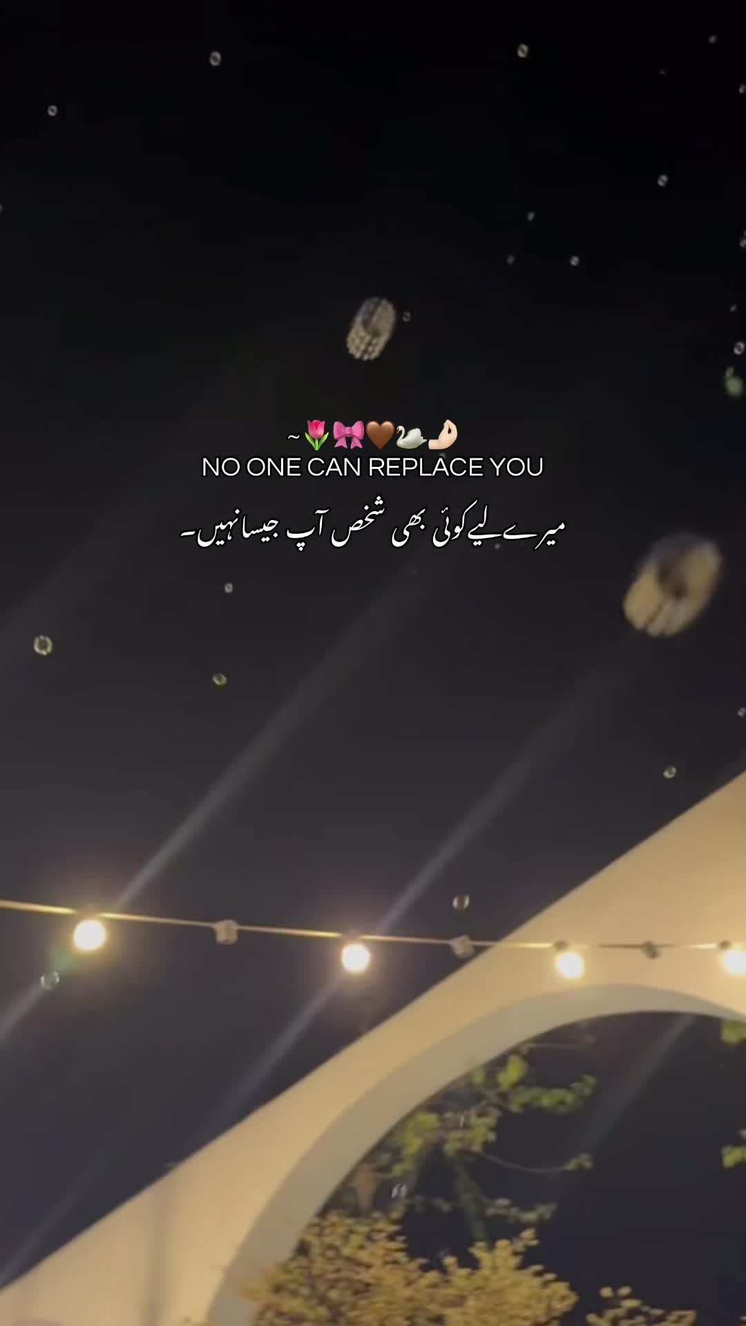 @𝐌🕷️