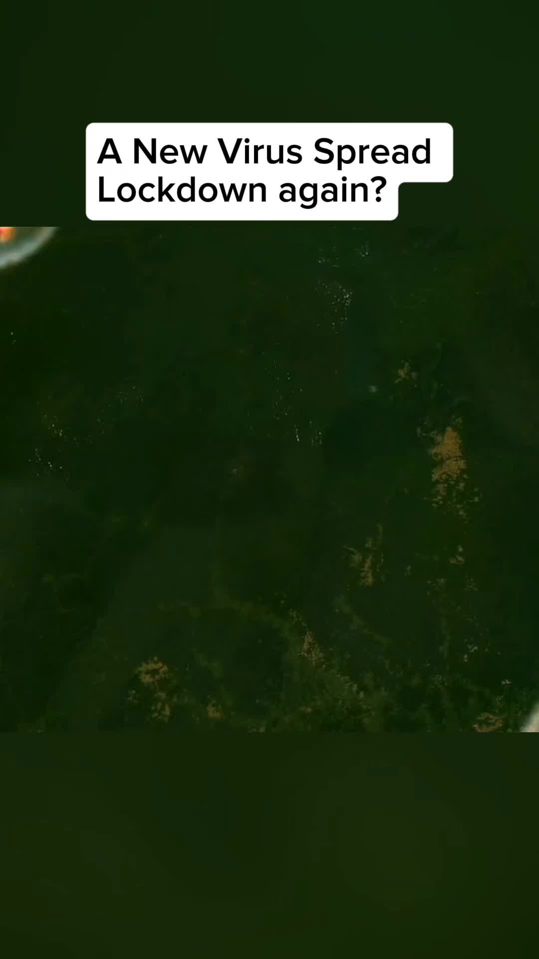 @History Feed