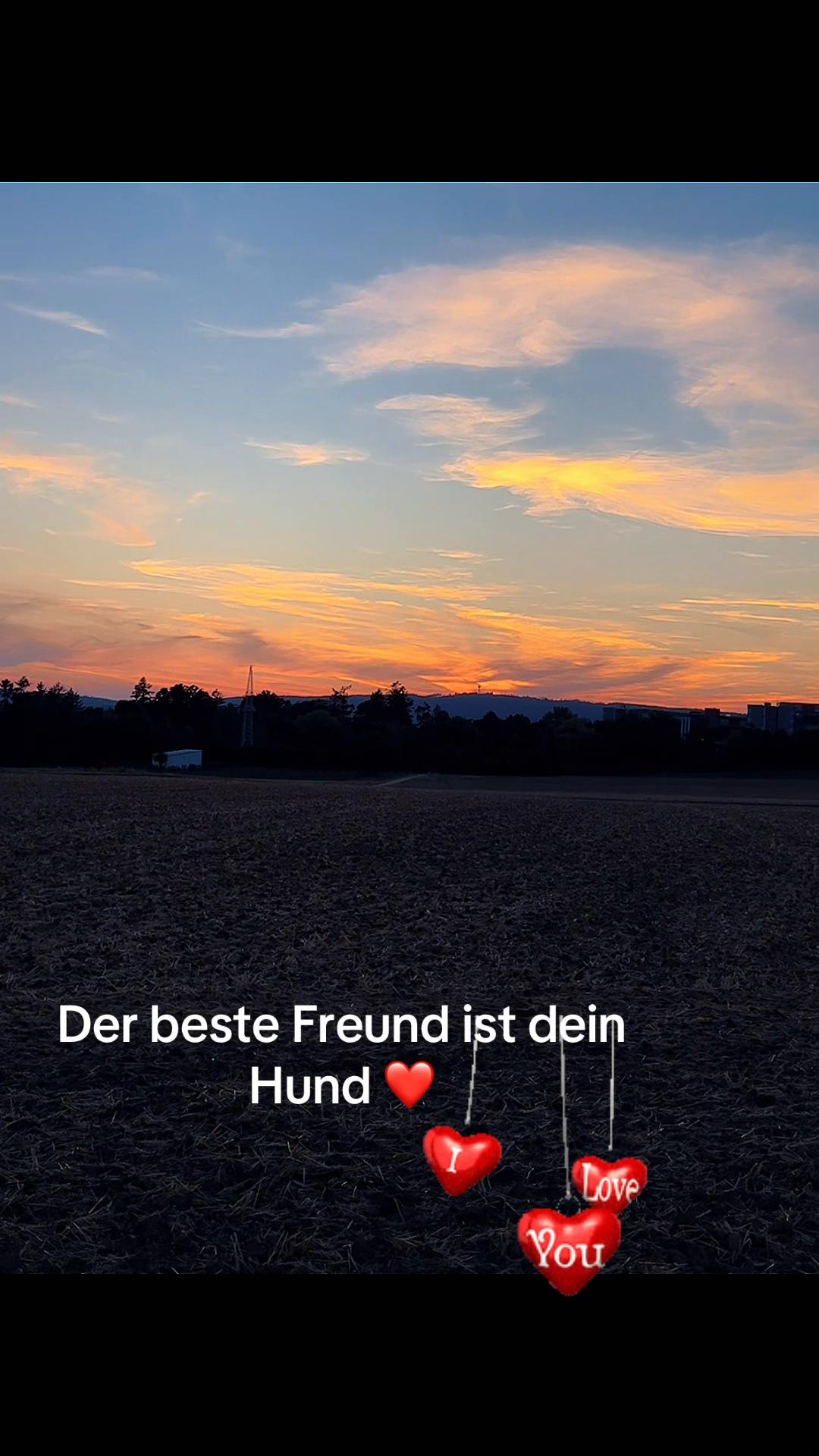 @Paco💙 & Paula❤️