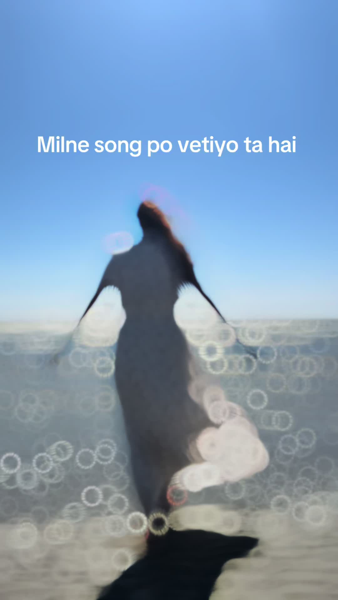 @Rita limbuni