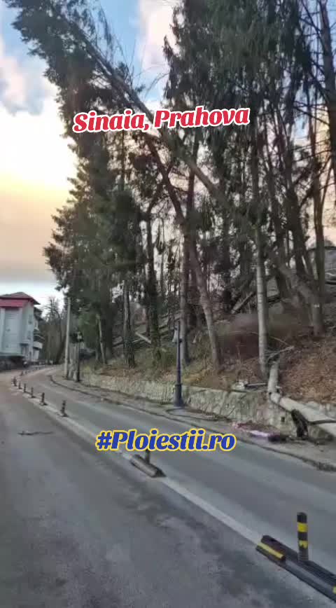 @𝗣𝗹𝗼𝗶𝗲𝘀𝘁𝗶𝗶.𝗿𝗼