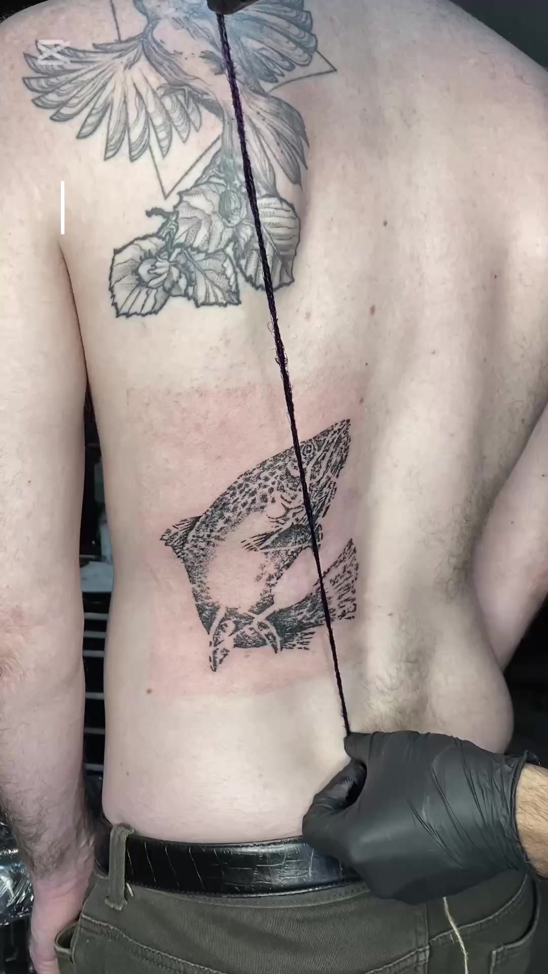 @krisros.ink