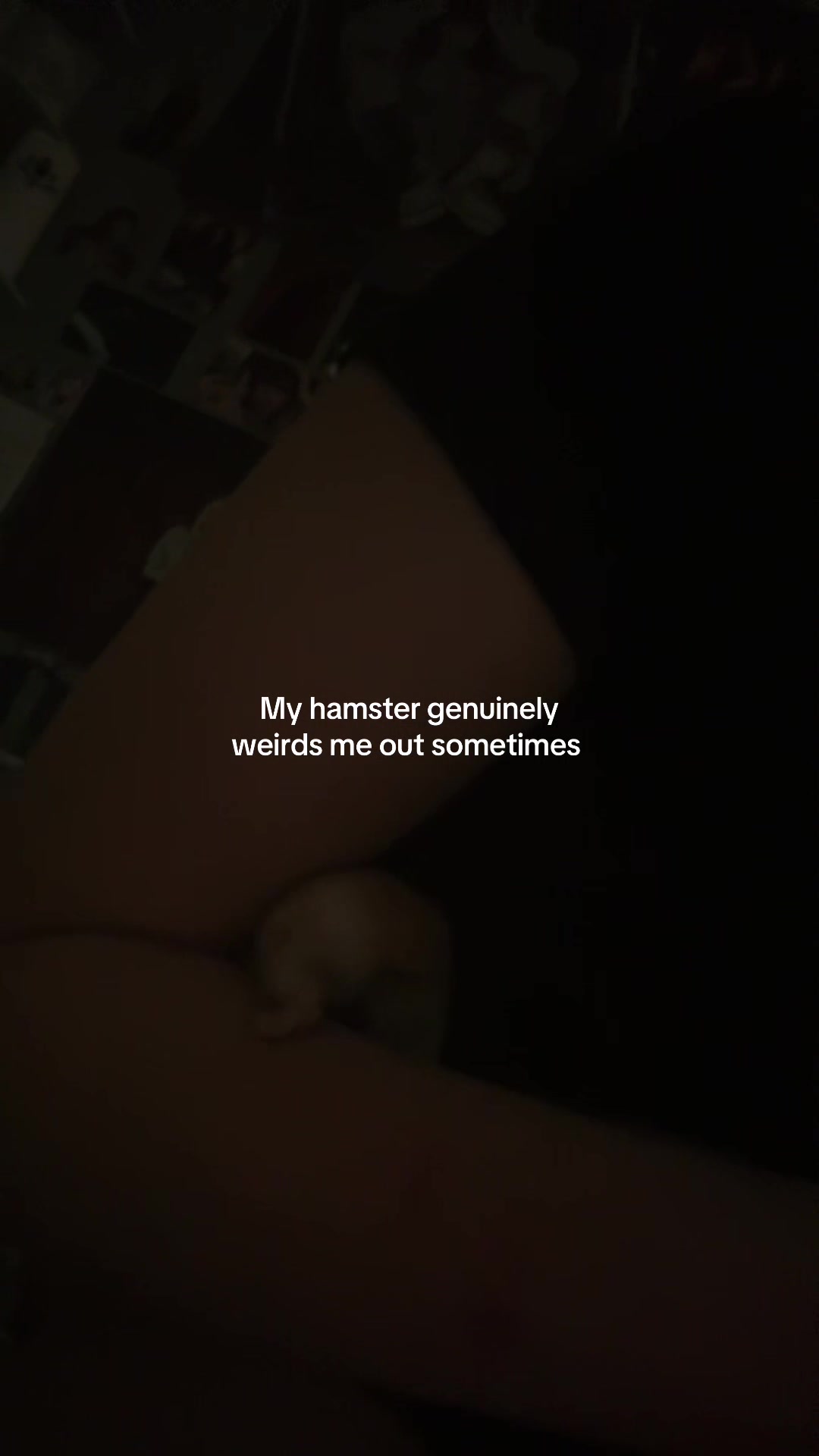 @R🦢