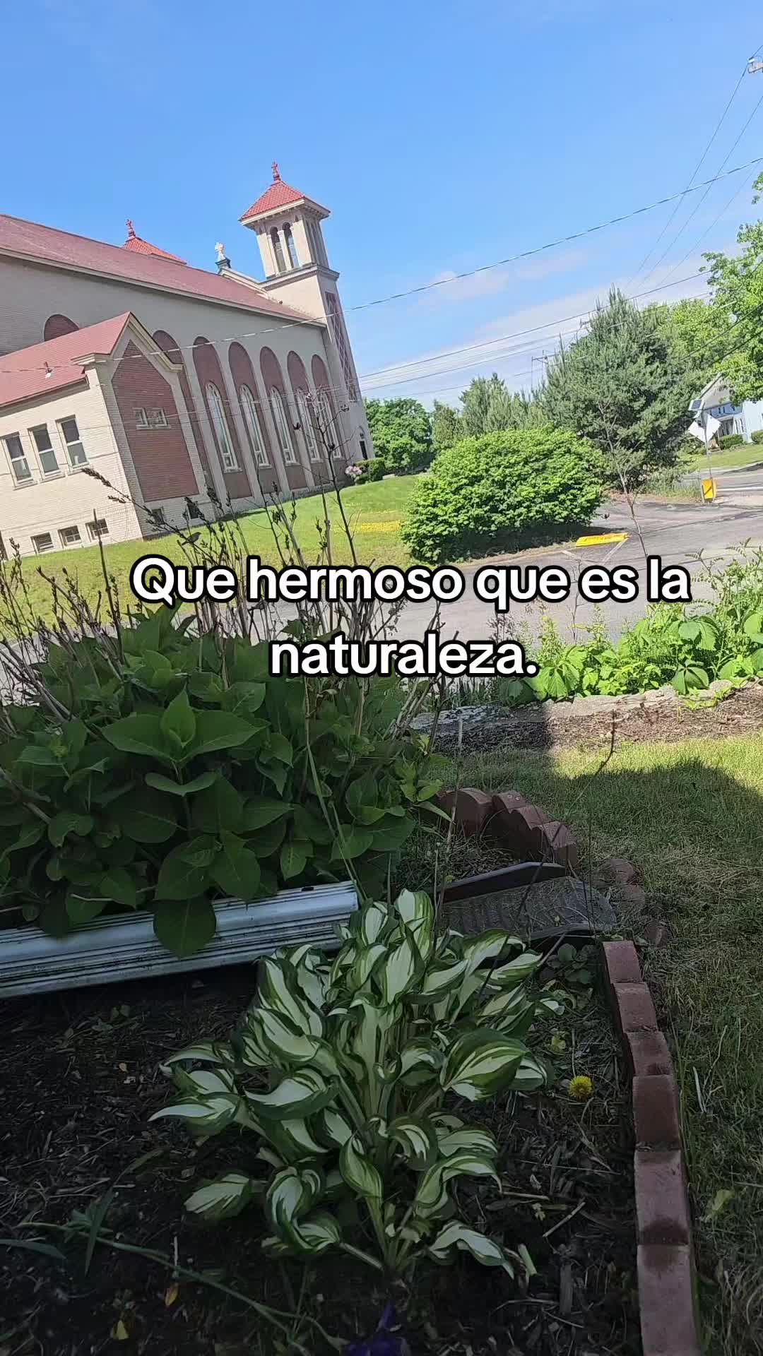 @✡️👑 Salom&oacute;n Lima 🏹🇪🇨🤗
