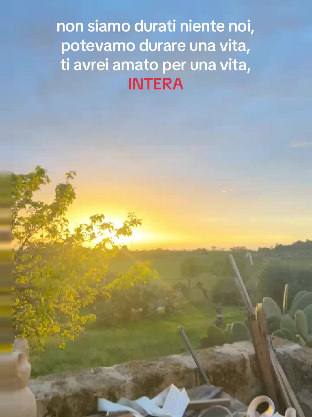 @v_a_n_e