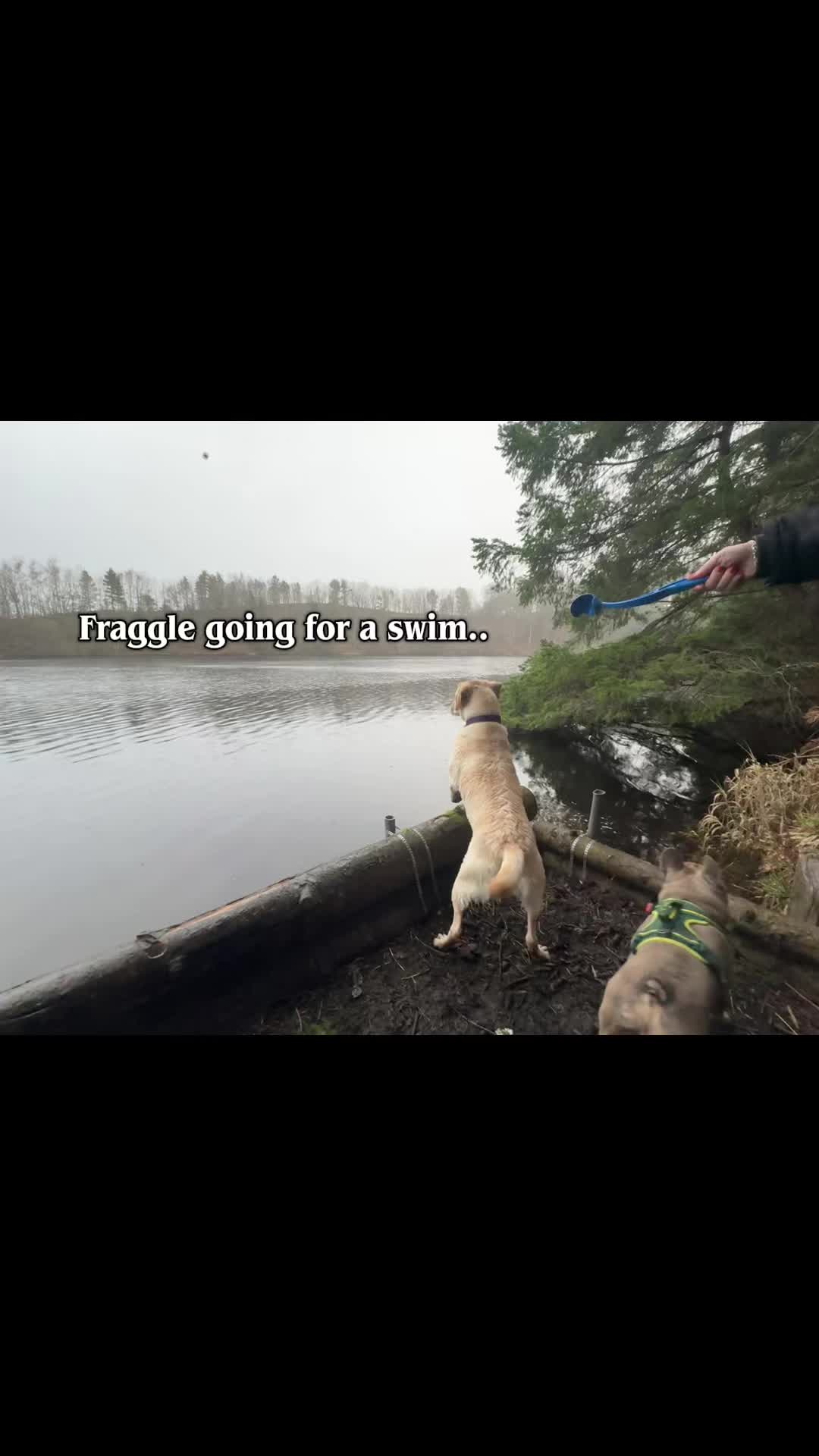 @Doozer_Sprocket_&_Fraggle