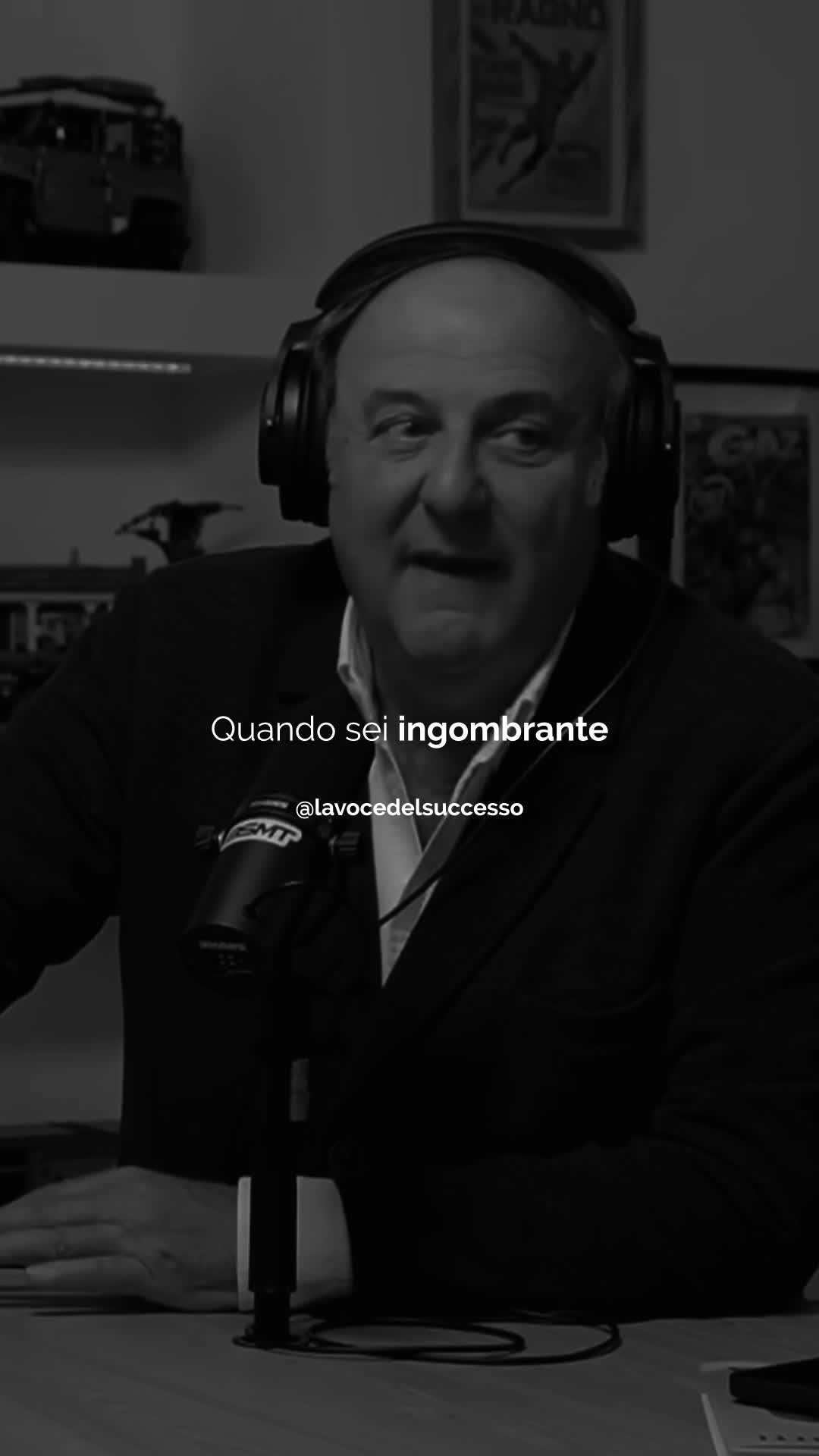 @@lavocedelsuccesso