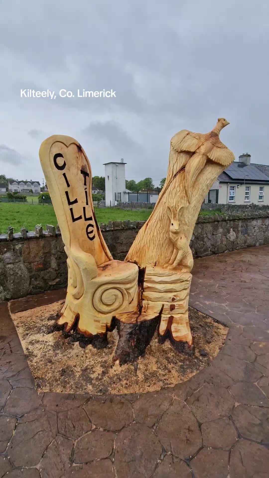 @Will Fogarty Fear na Coillte