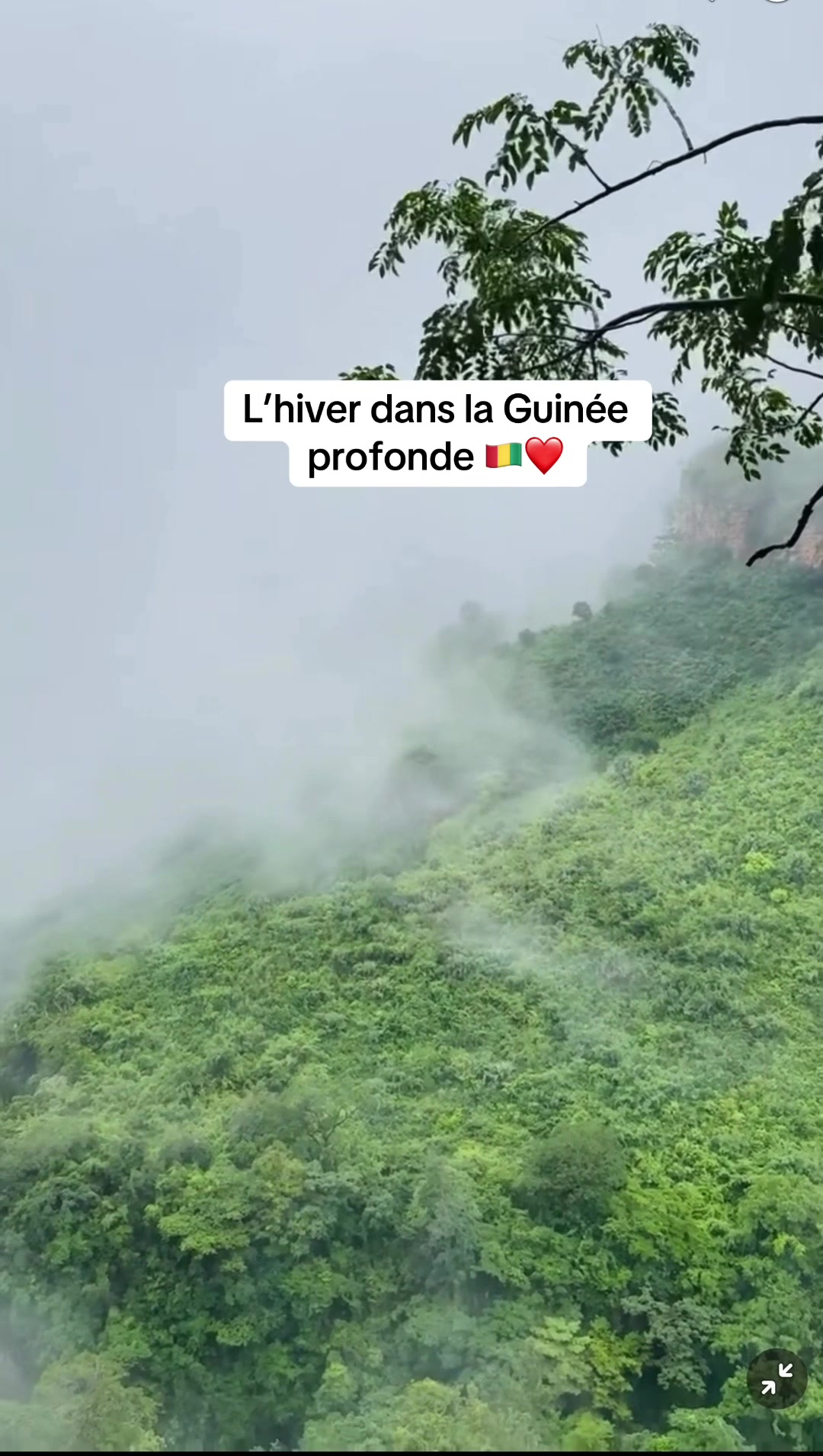 @L🅰️ Guinée est Chic 🇬🇳❤️