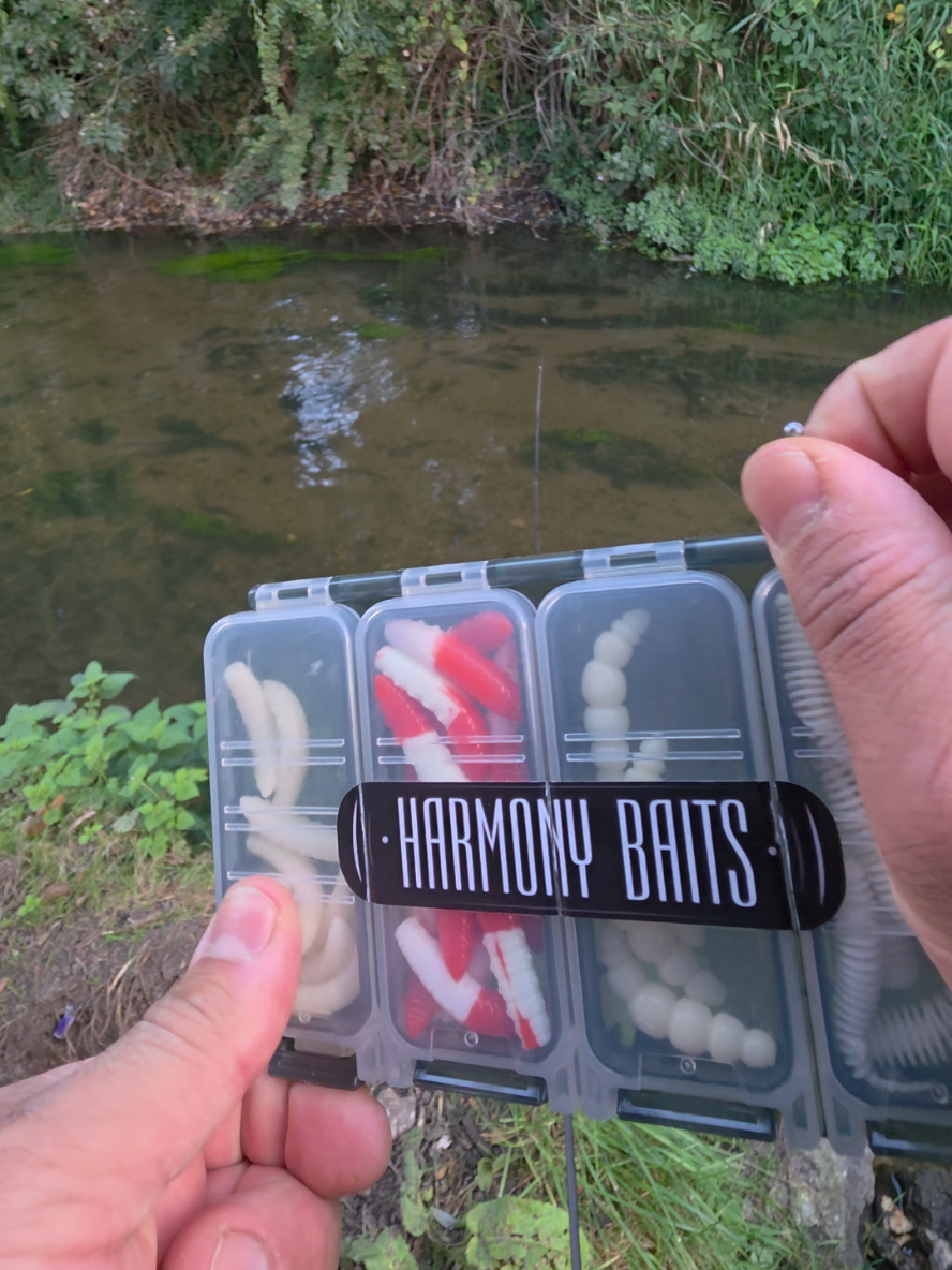 @BF Angler
