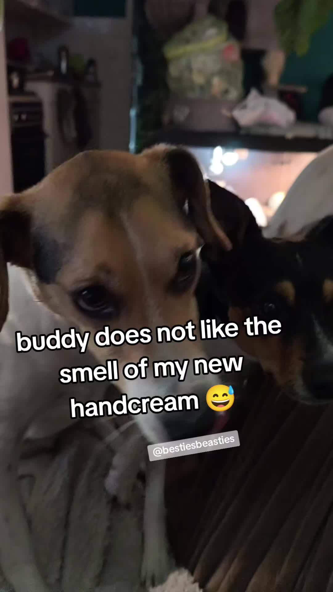 @Bestiesbeasties