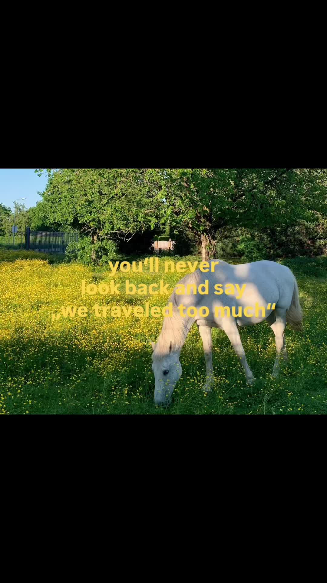 @⋆.ೃ࿔*:・