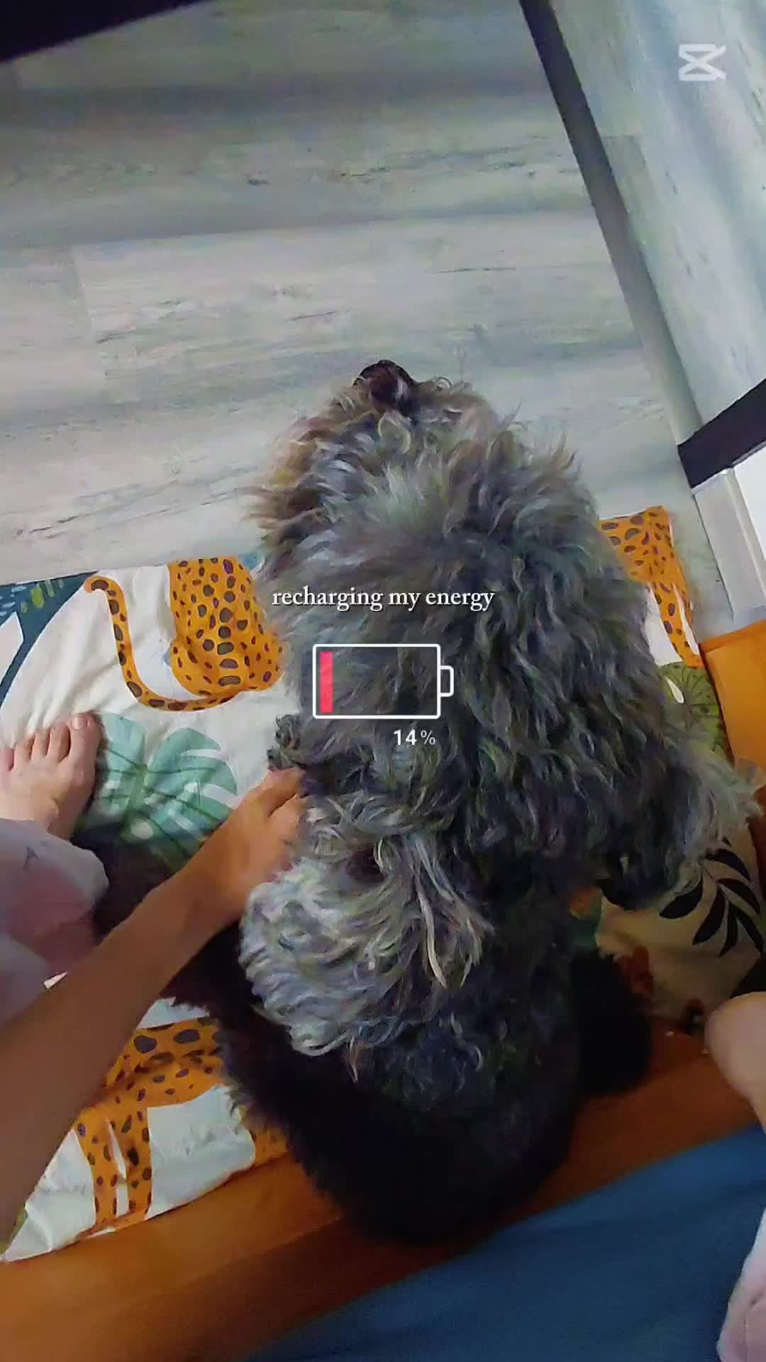 @BuzzyAnitaBee