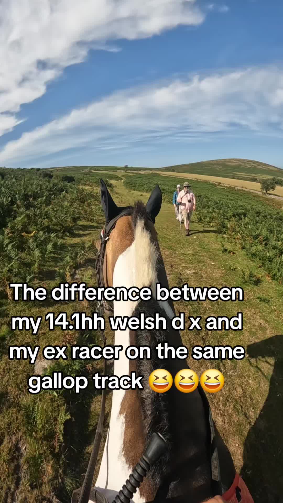 @Layla's life in Cornwall