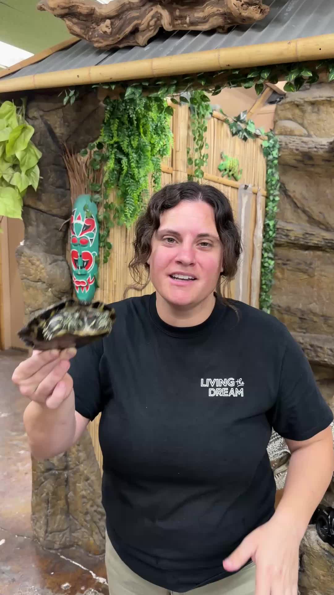 @The Reptile Zoo