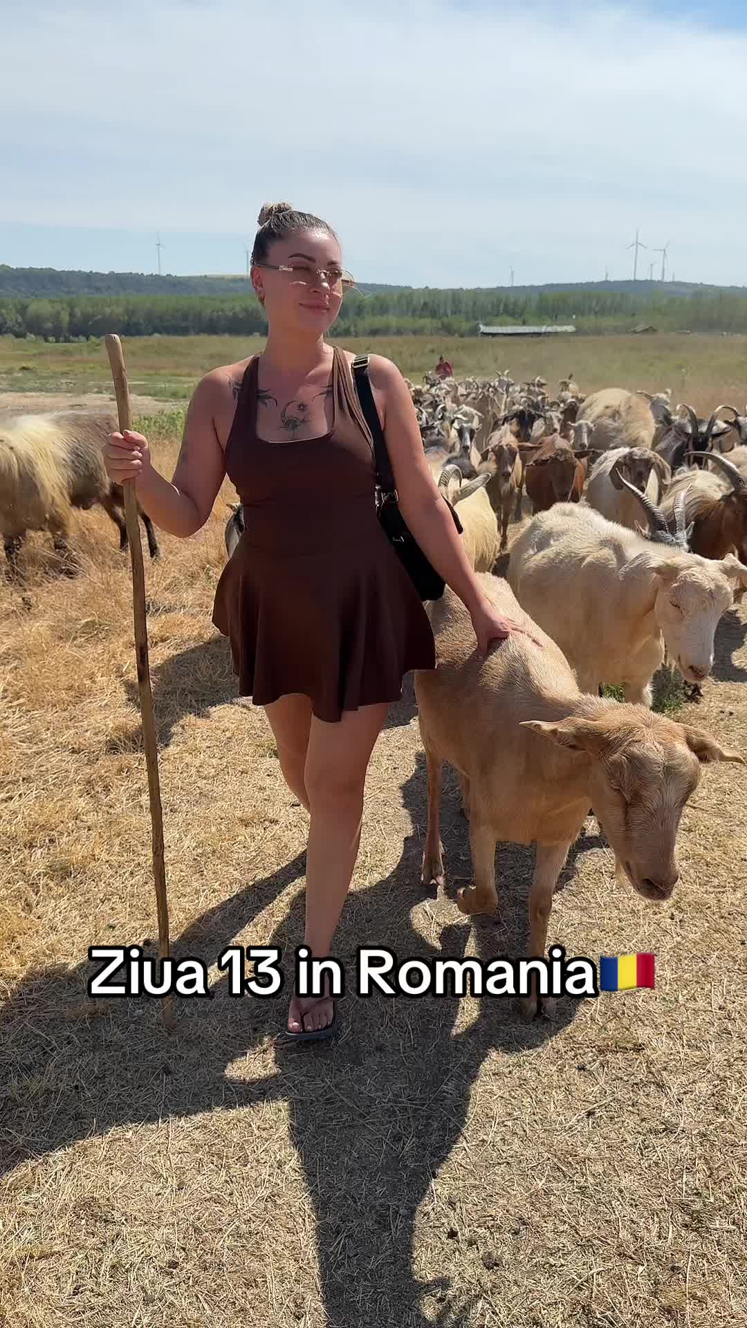 @Madalina Naidin