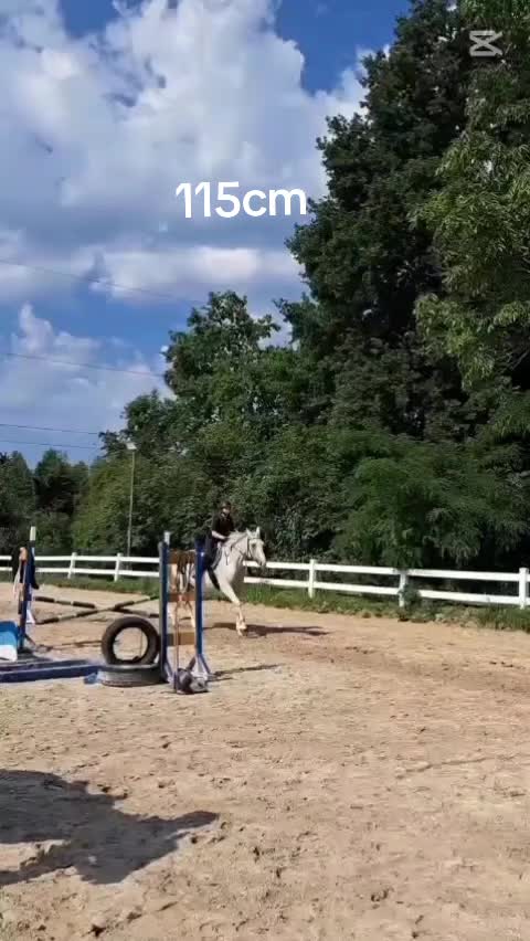 @konikzuza