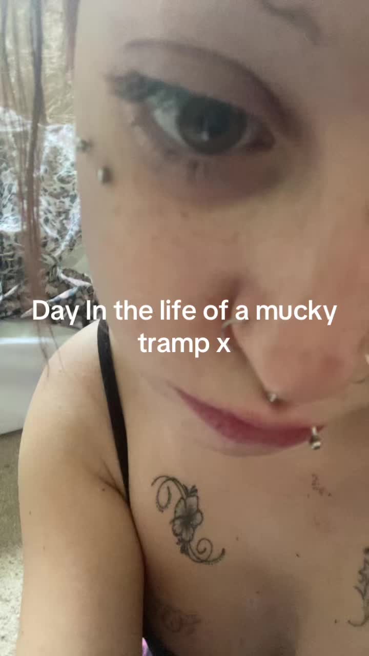 @bbttjjdex