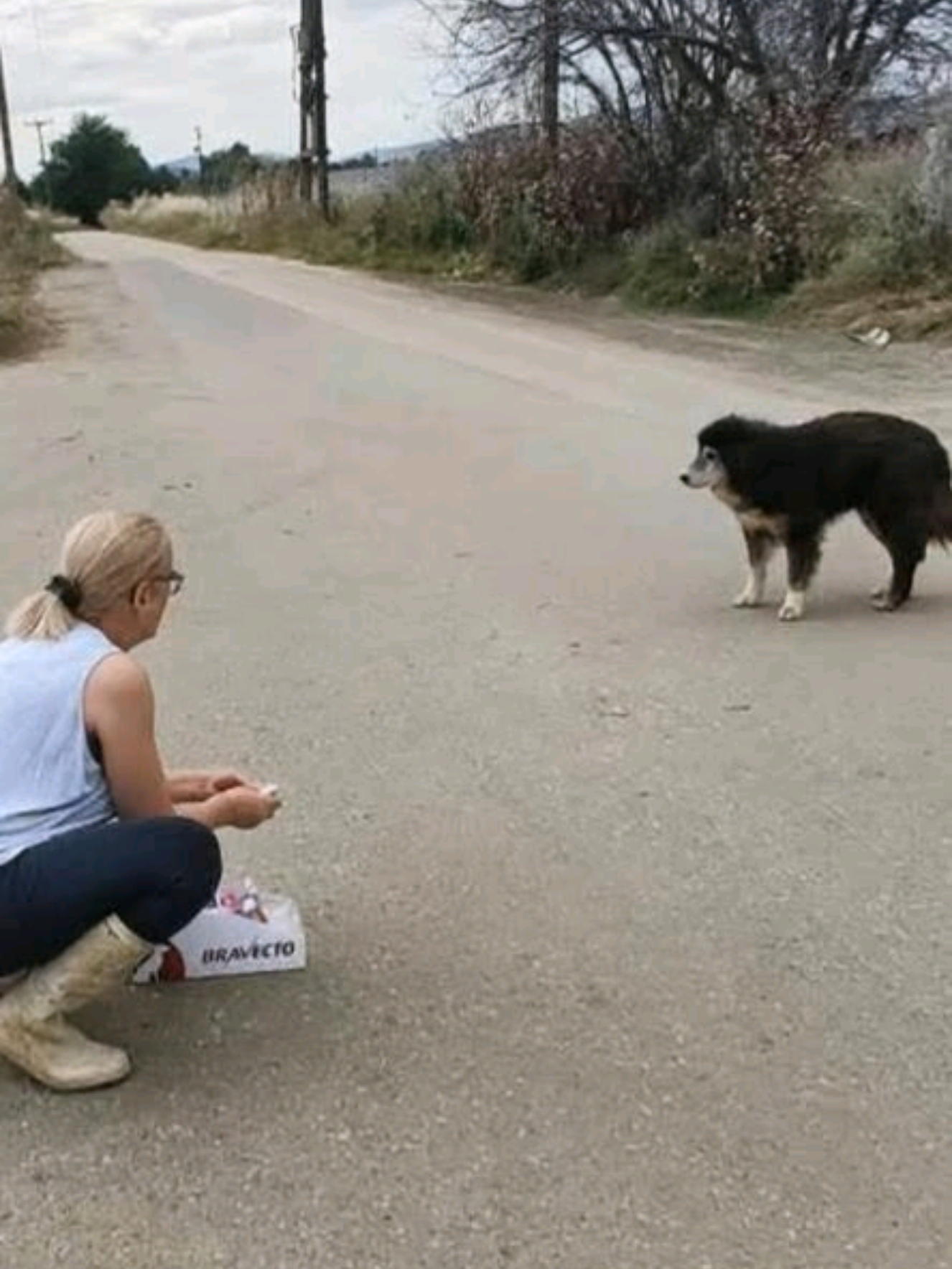 @Greek Animal Rescue