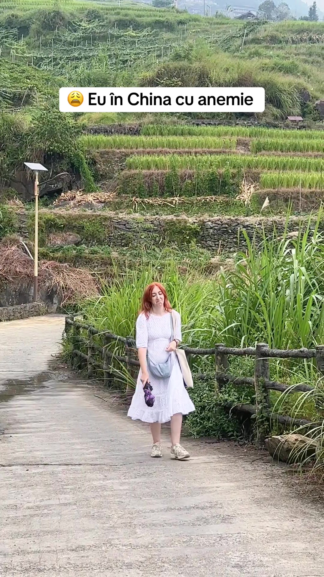 @surorilecalatoare