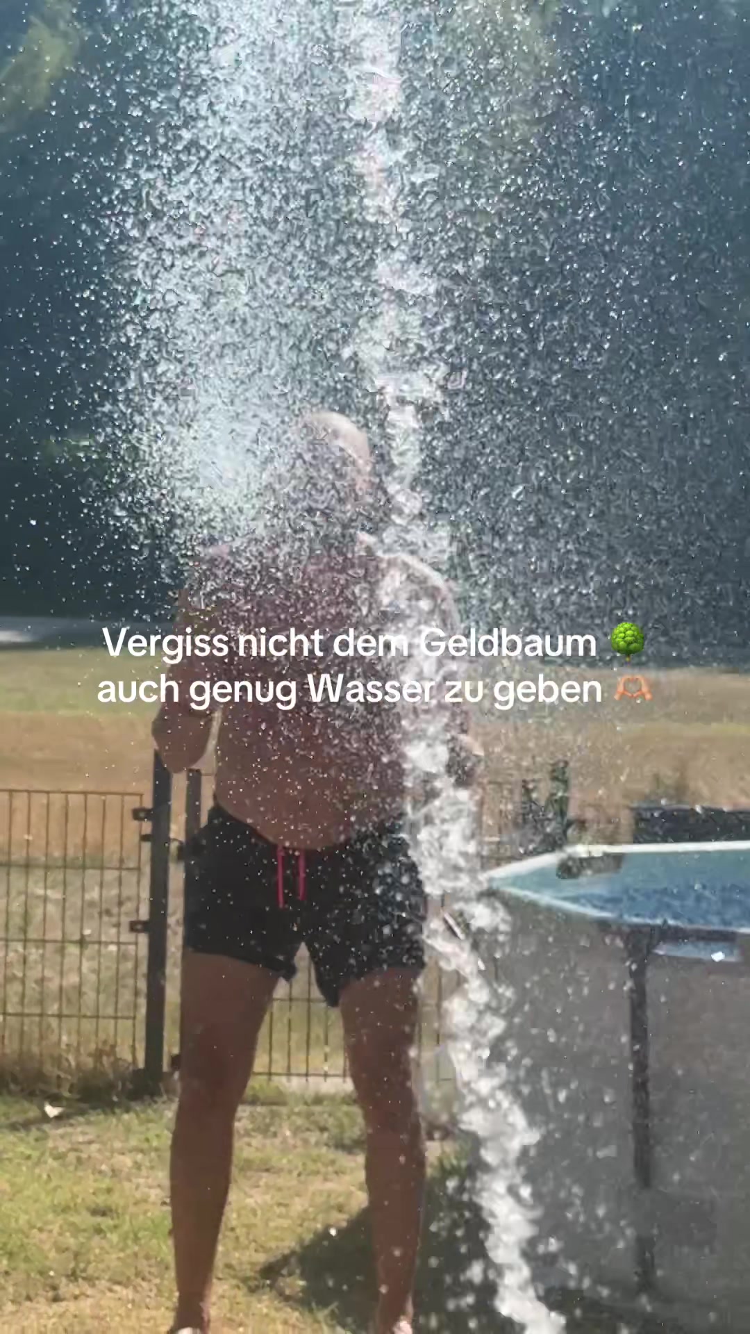 @arigona