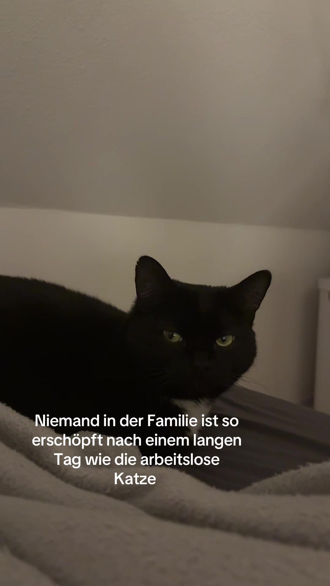 @Emily