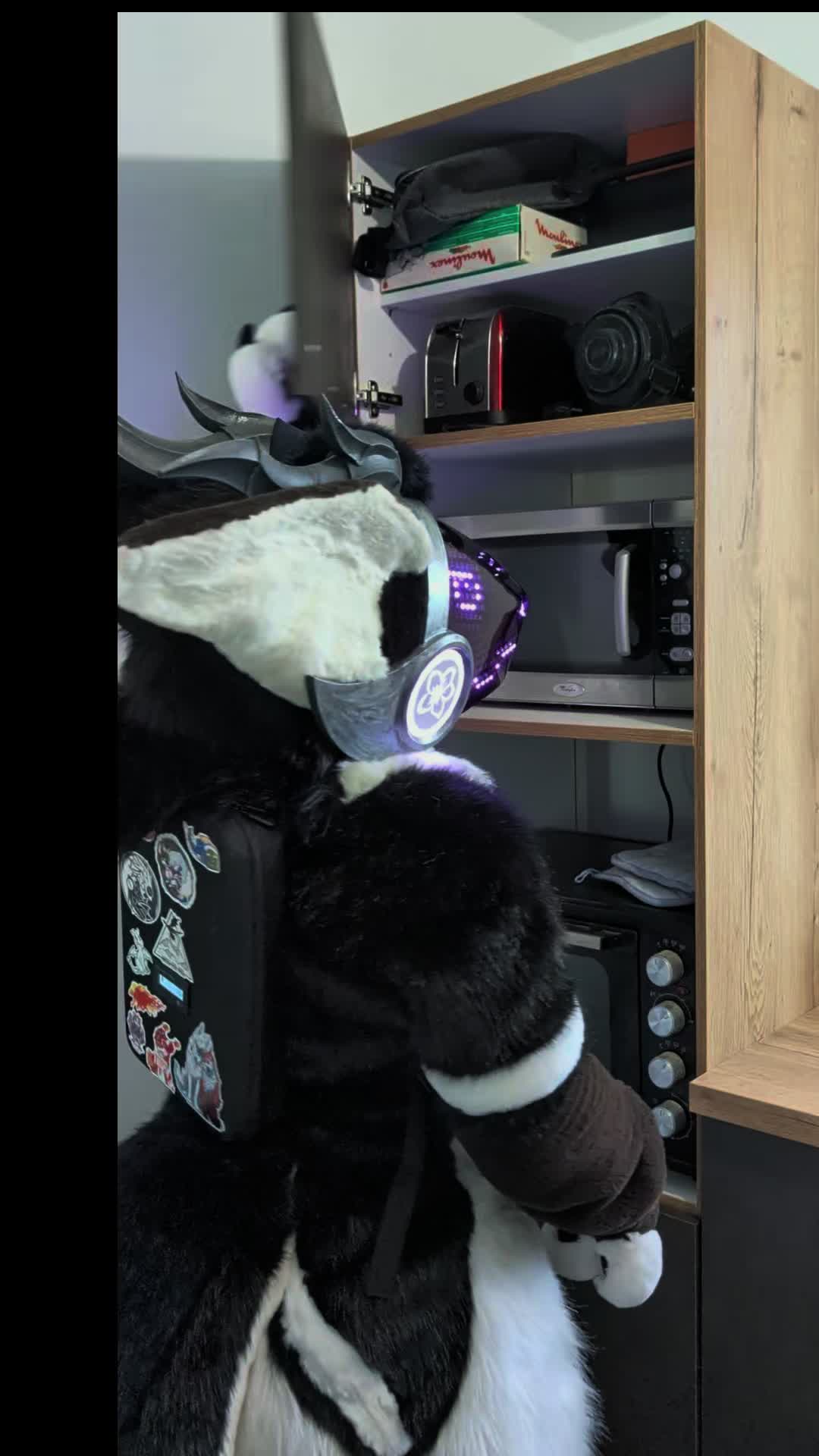 @KITJUNE