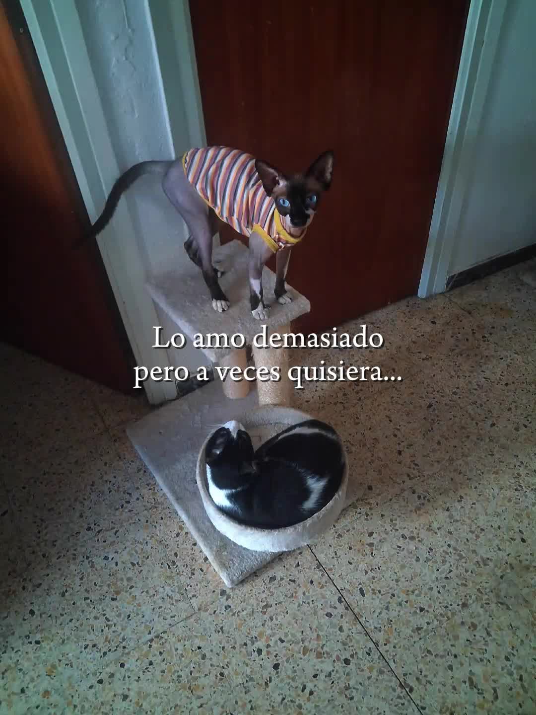 @Chiky_Jessy