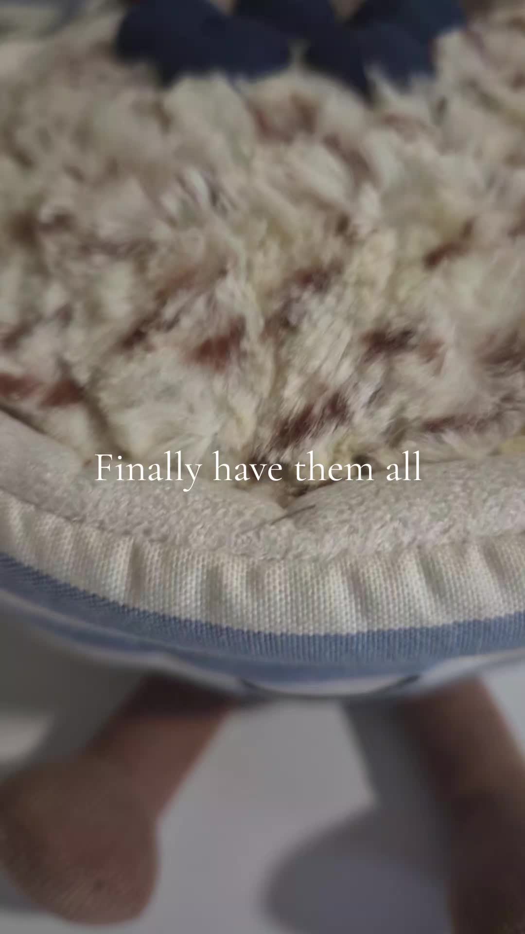 @Sarah 🧡