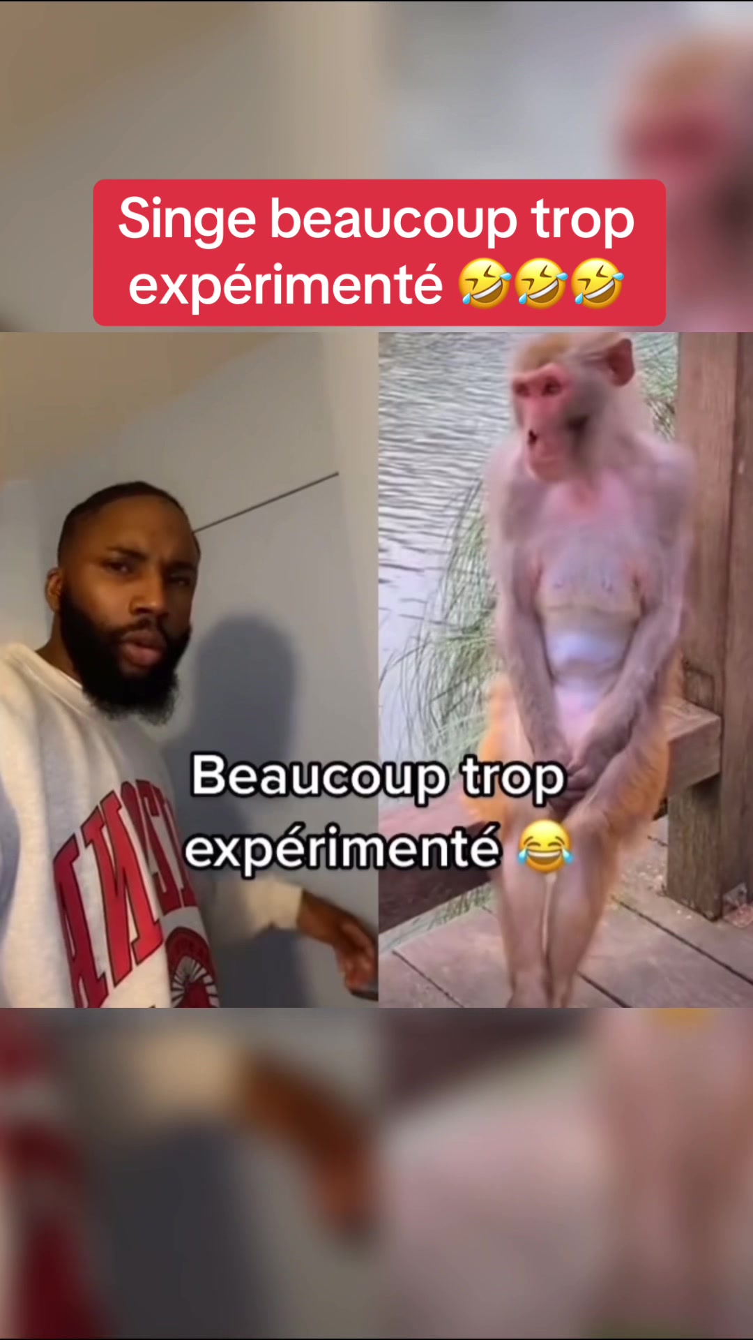 @vien_rire3