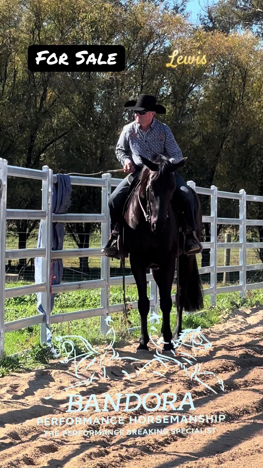 @Bandora_Horsemanship