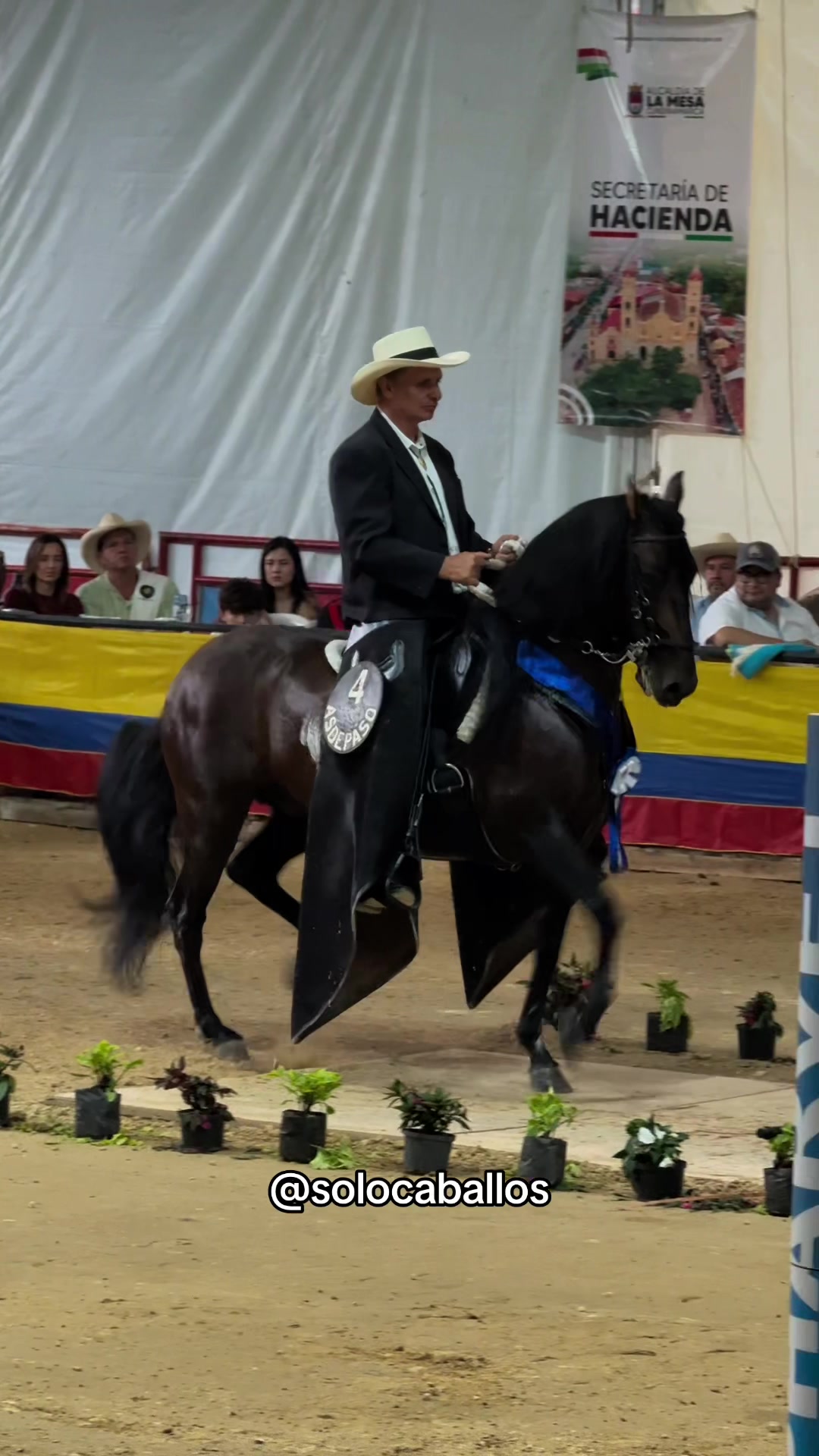 @Solo Caballos