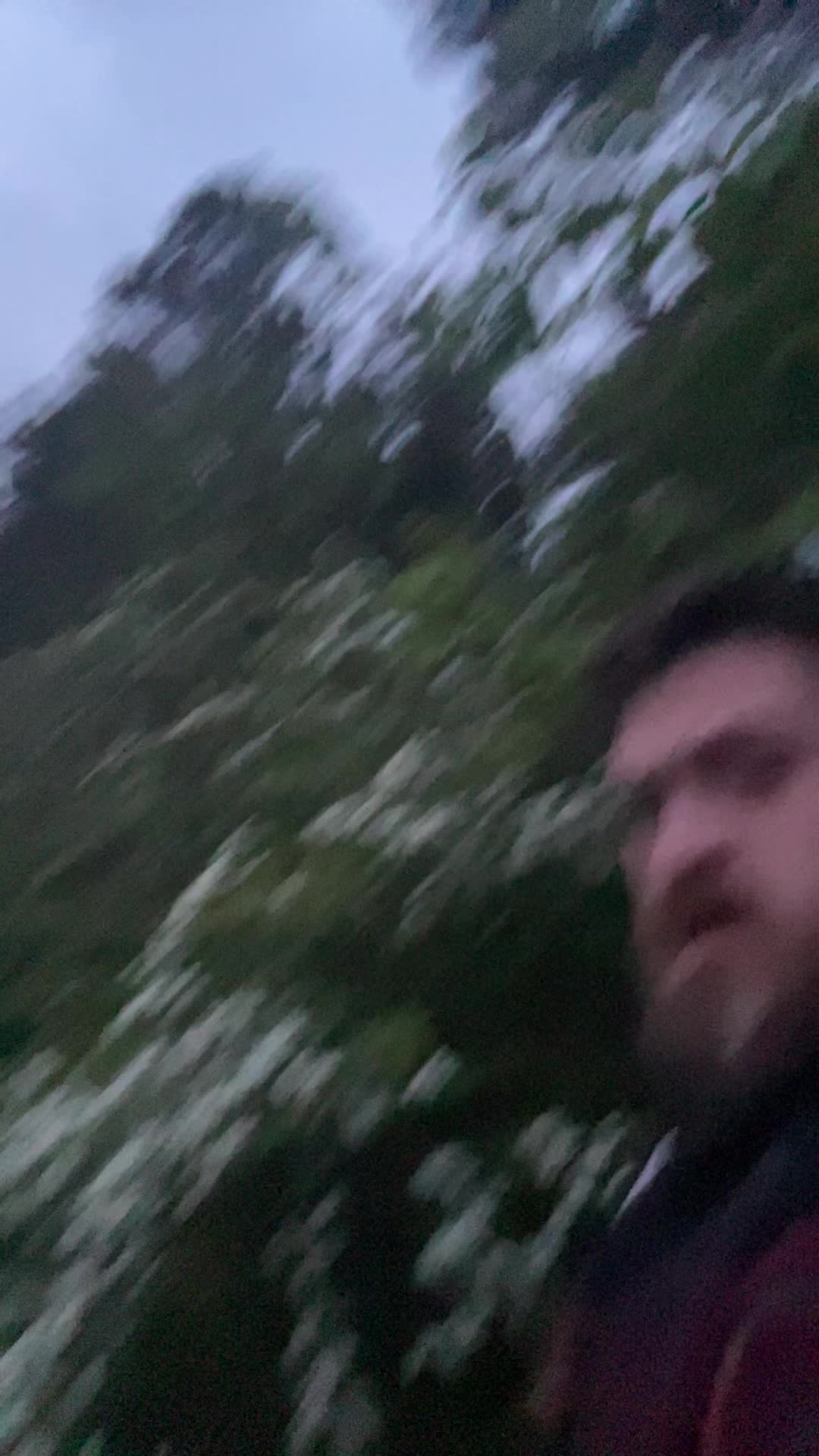 @🪽🌶️🔦👻BIG T👻🔦🌶️🪽