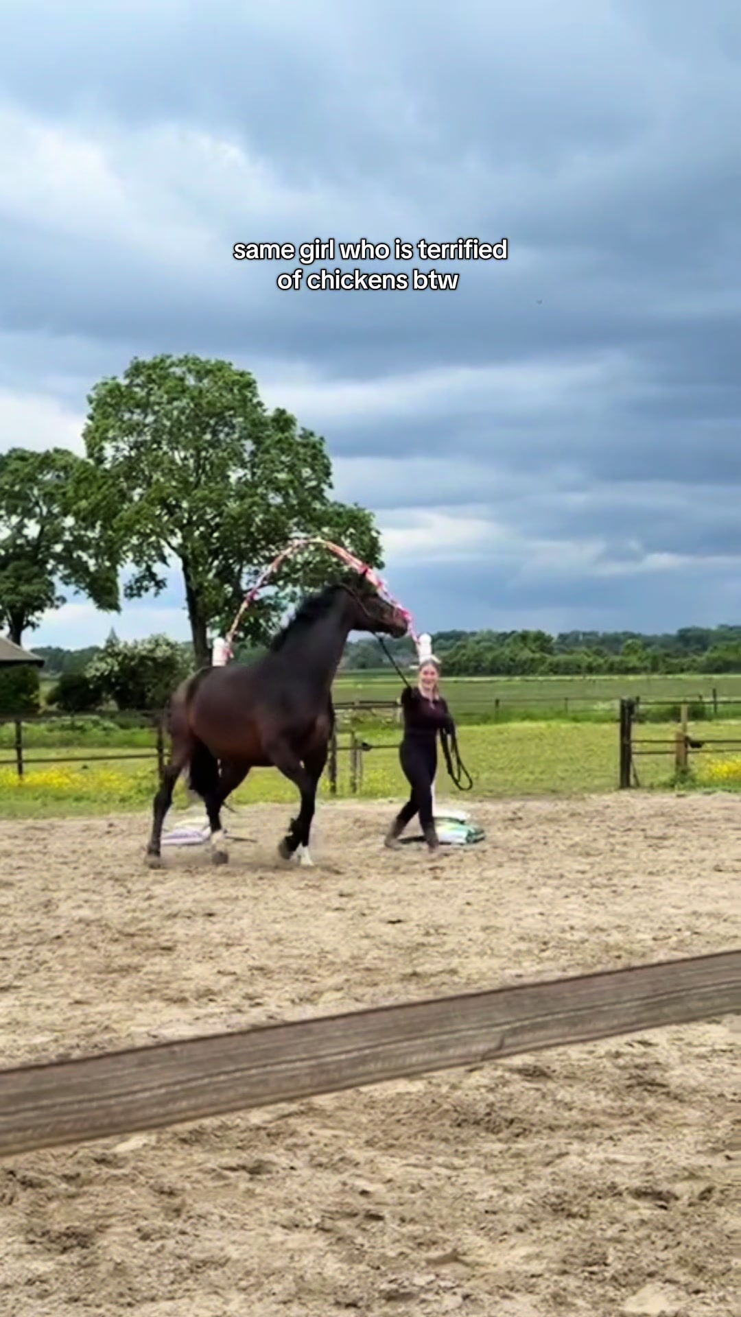 @idh_horses