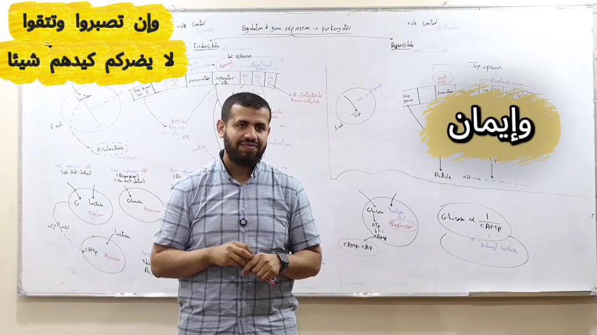@Hesham Esmat