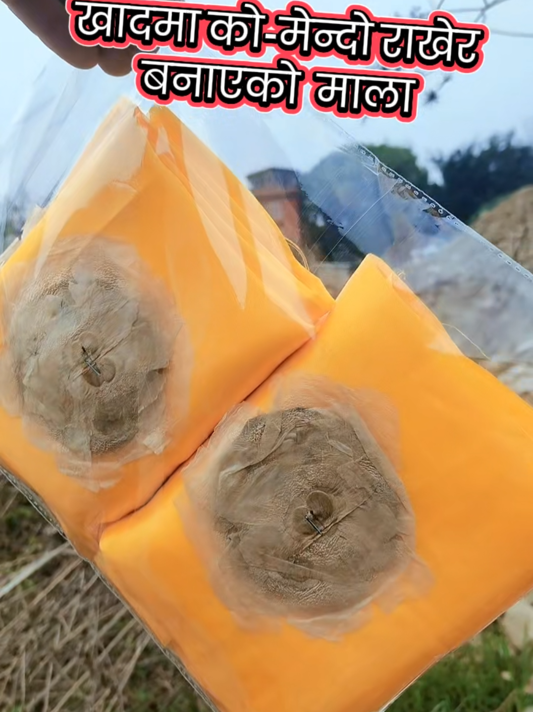 @पैसाको माला,धुबोको माला,बुकि