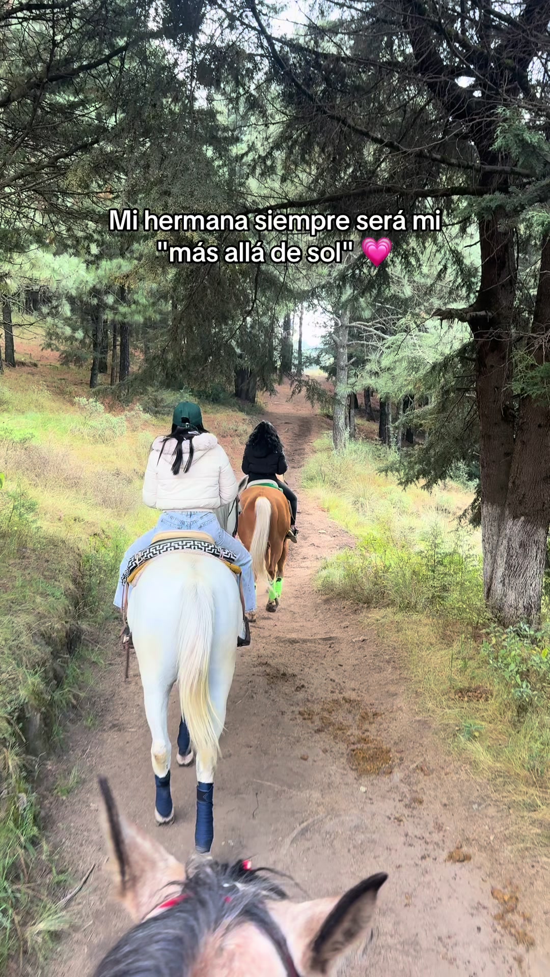 @Valeria Gómez 🍒