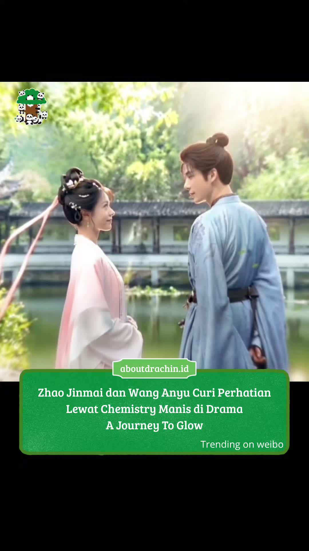 @About Drachin || Jastip