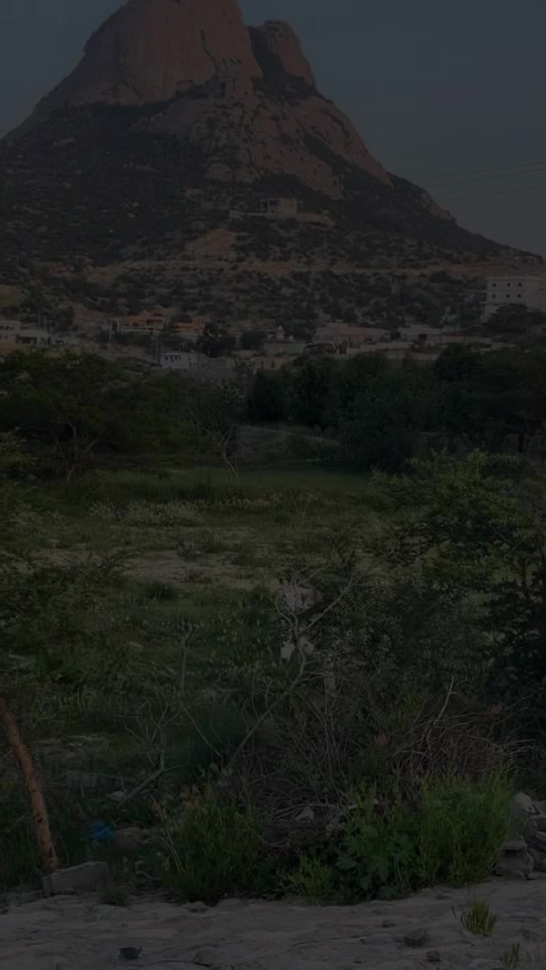 @أحلام 🇸🇦
