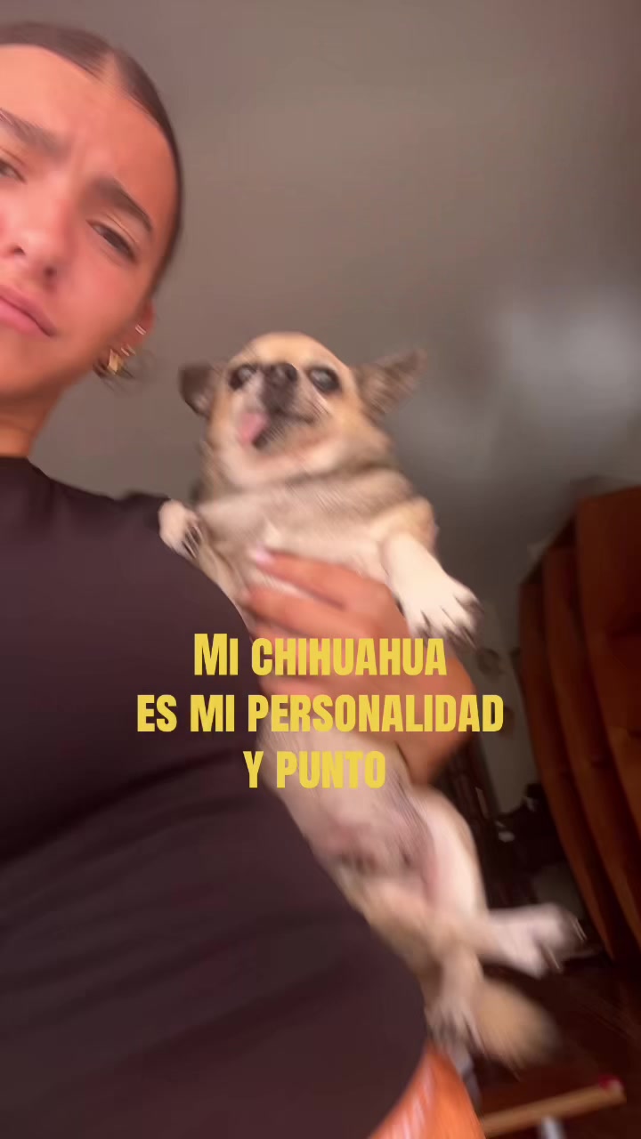 @valentinacaarta