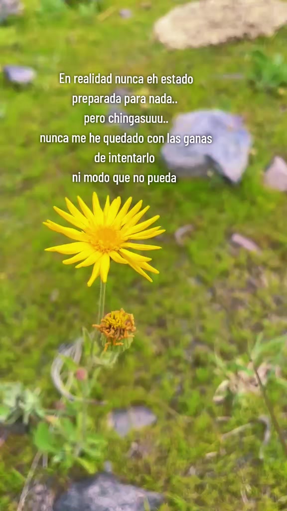 @🌻♡🌻 Lҽʂʅιҽ 🌻♡🌻
