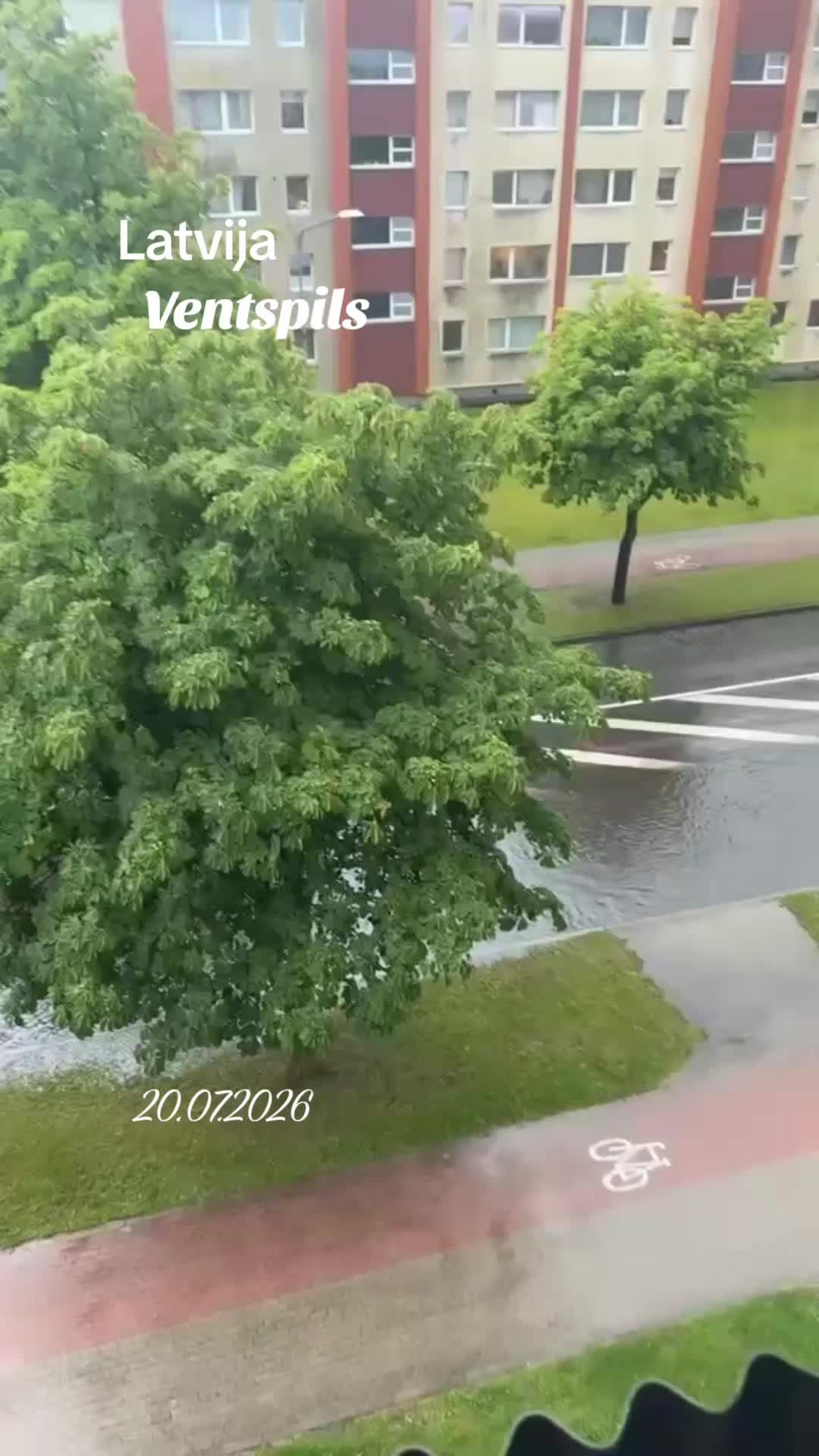 @Paracelz