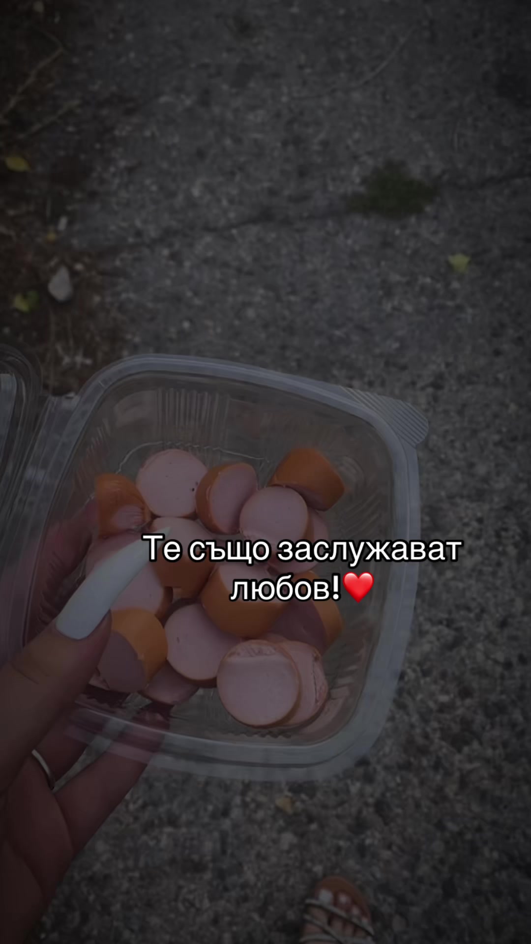@desi_stoycheva19