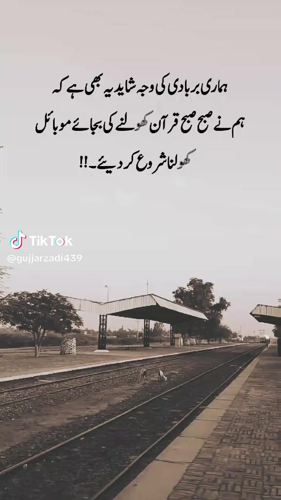 @🌹🐦🩵RAHEEL🌹MUGHAL🌹