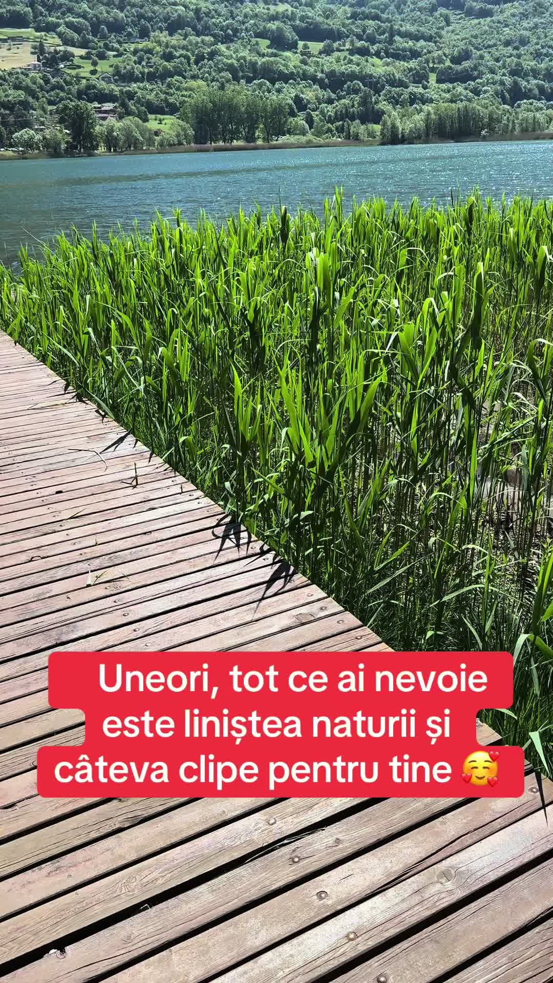 @Alina Sajin