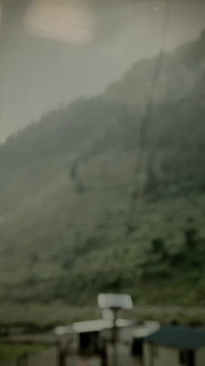 @🦁