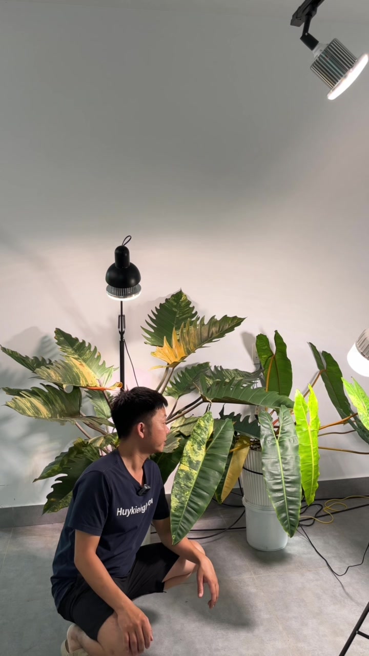 @Huy Kiểng L&aacute;