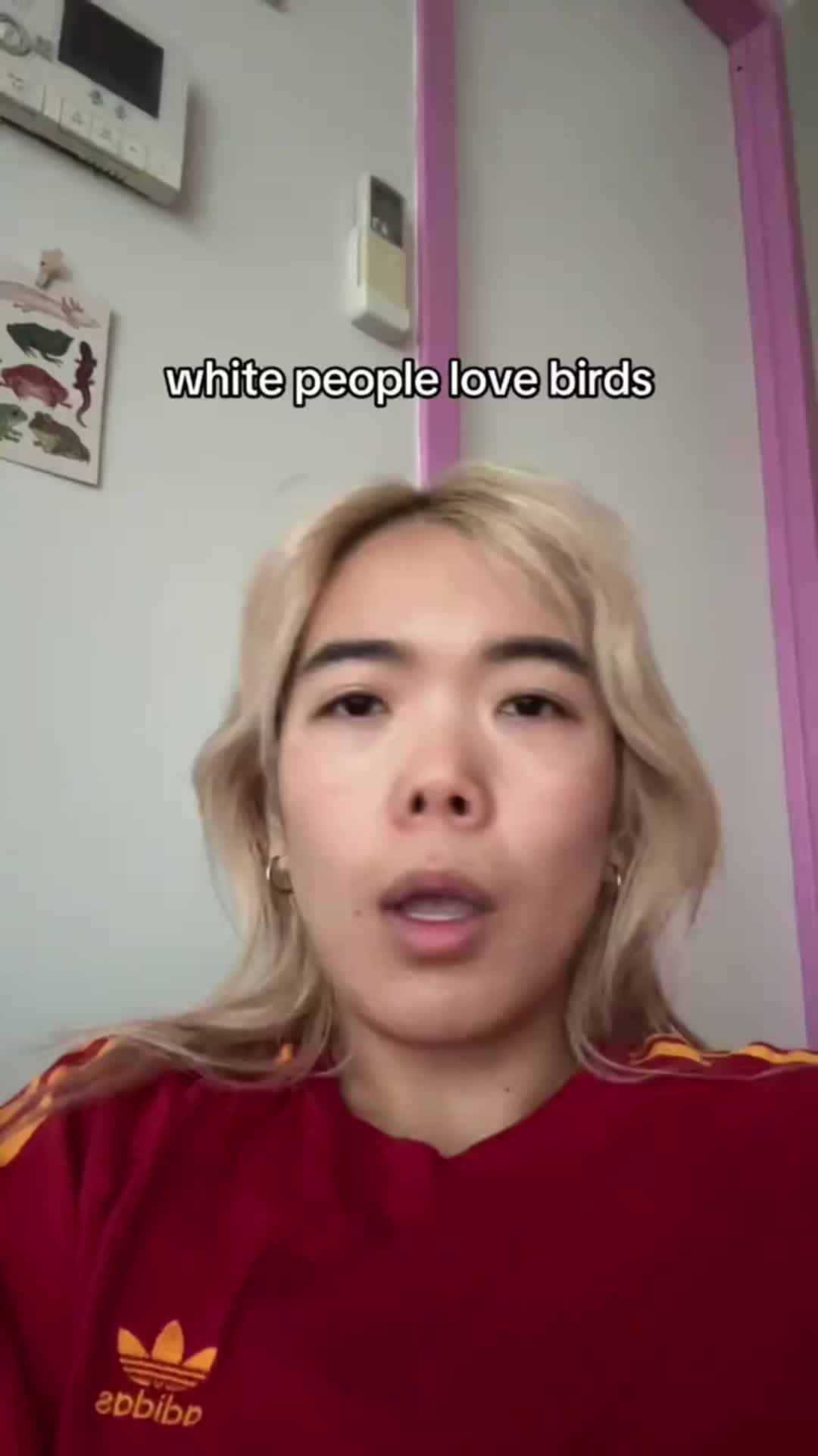 @Amy Vulgaria